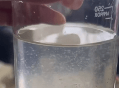 Frozen Copepods product image 1