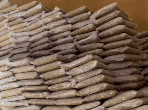 Frozen Housefly Larvae product image 2